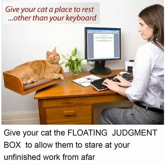 Floating judgement box